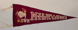 University of Wisconsin-Milwaukee, WI Souvenir  [Pennant]
