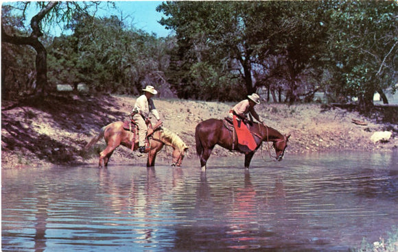 Texas Ranges on Quarter Horses [Postcard]