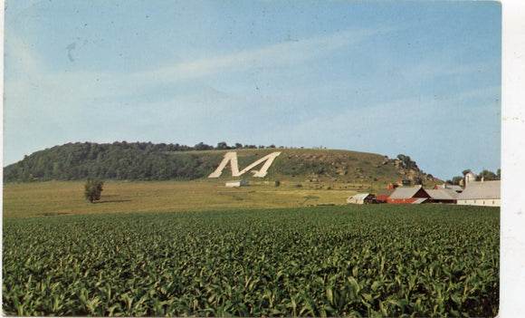 World's Largest M, Platteville, WI [Postcard]