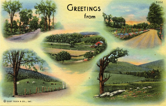 Greetings from __________ [Postcard]