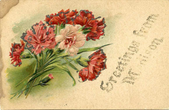 Greetings from Madison, WI [Postcard]