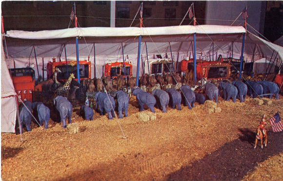 John Zweifel's Miniature Menagerie Tent, Circus World Museum, Baraboo,  [Postcard]