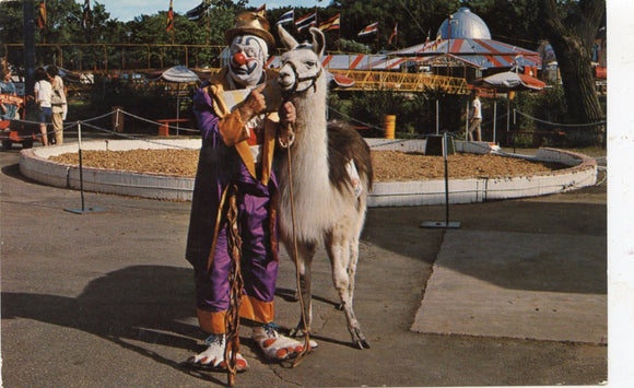 Clown and Llama, Circus World Museum, Baraboo, WI [Postcard]