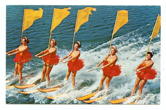 Tommy Bartlett Water Ski Show, Wisconsin Dells, WI [Postcard]