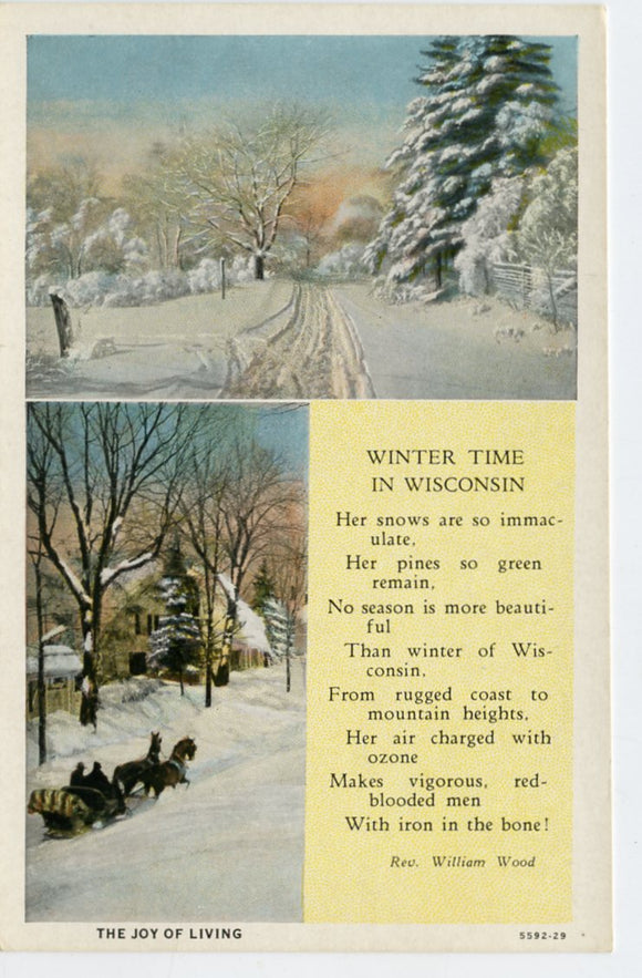 Winter Time in Wisconsin [Postcard]