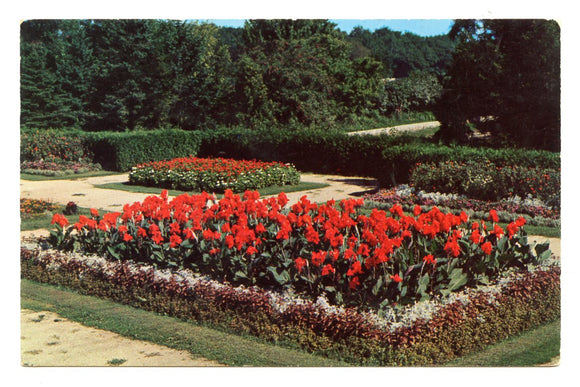 Flower Beds in Sinnissippi Park Sunken Gardens, Rockford, IL [Postcard]