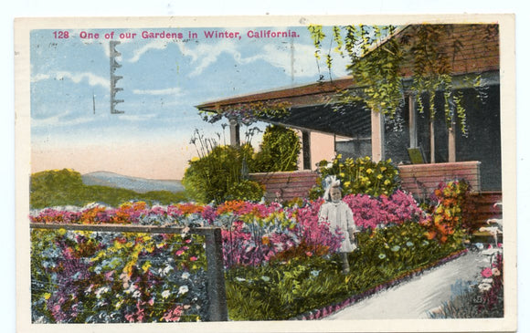 One of Our Gardens in Winter, Los Angeles, CA [Postcard]