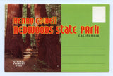 Henry Cowell Redwoods State Park, CA, Souvenir Postcard Folder [Postcard]