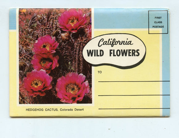 California Wild Flowers, Souvenir Postcard Folder [Postcard]