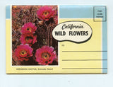 California Wild Flowers, Souvenir Postcard Folder [Postcard]