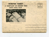 Petrified Forest, Santa Rosa, CA, Souvenir Postcard Folder [Postcard]
