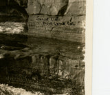 Sunset Cliffs, Point Loma, La Jolla, San Diego, CA [Postcard]