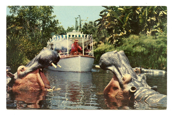 Jungle Cruise, Disneyland, CA [Postcard]