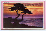 Greetings from Carmel-By-The-Sea, CA Souvenir Folder [Postcard]