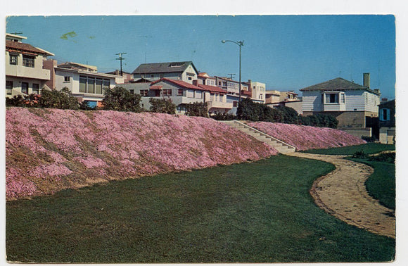Manhattan Beach, CA [Postcard]