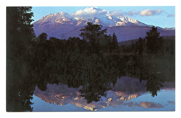 Mt. Shasta, CA [Postcard]