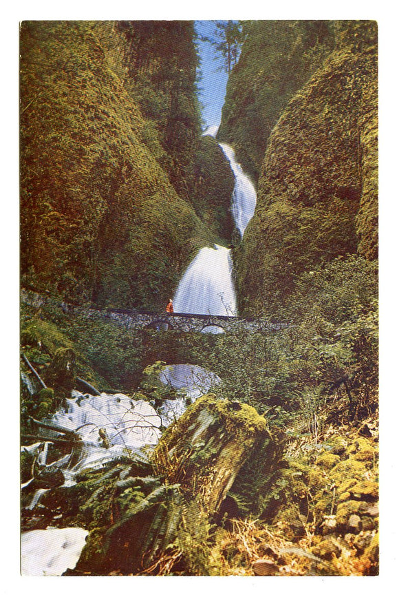 Wah-Kee-Nah Falls, Columbia River Highway, OR [Postcard]