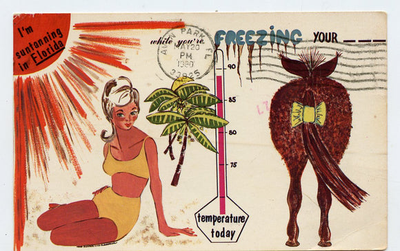 I'm Suntanning in Florida, While You're Freezing Your ___ [Postcard]