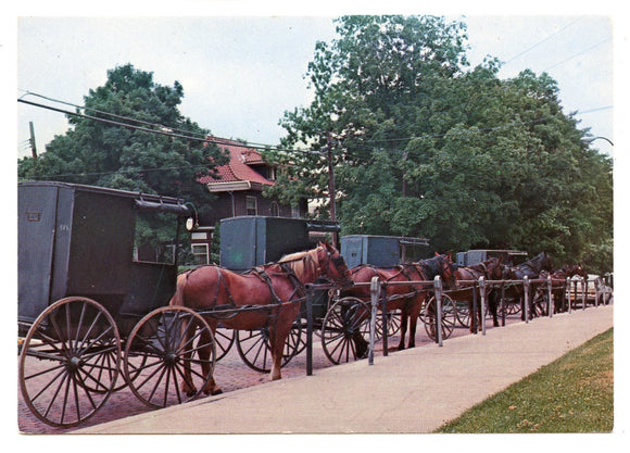 Amish Capitol of Ohio, Millersburg, OH [Postcard]