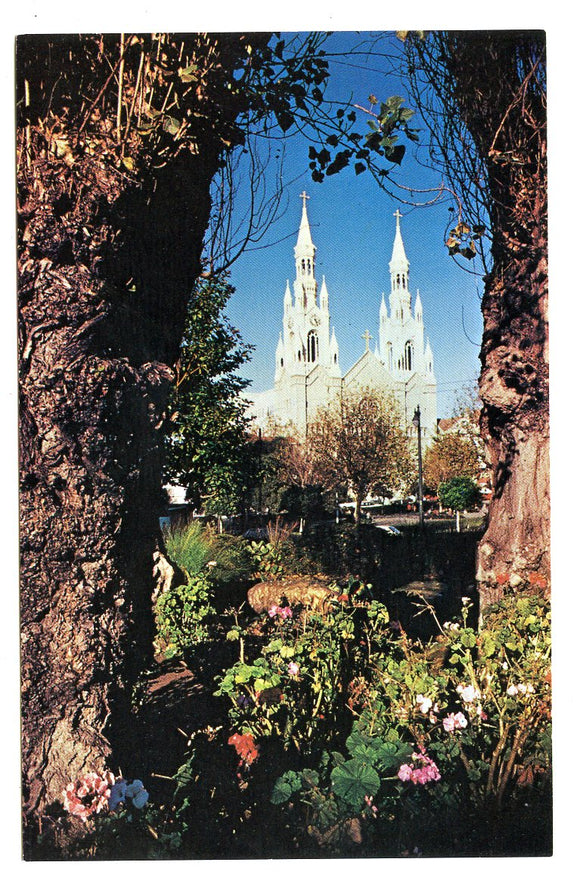 SS. Peter and Paul Church, San Francisco, CA [Postcard]