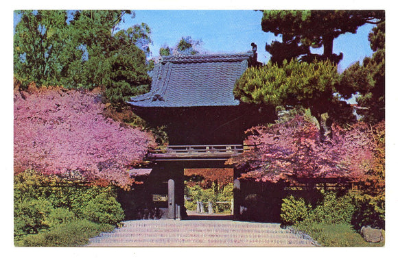 Japanese Tea Garden, San Francisco, CA [Postcard]