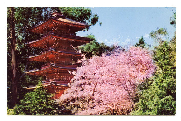 Japanese Tea Garden, San Francisco, CA [Postcard]