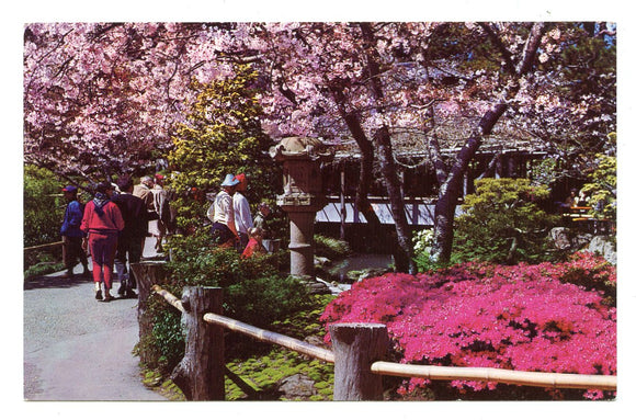 Large Japanese Stone Lantern and Tea House in Background, San Francisco, CA [Postcard]