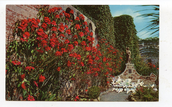 Mission San Juan Capistrano, CA [Postcard]