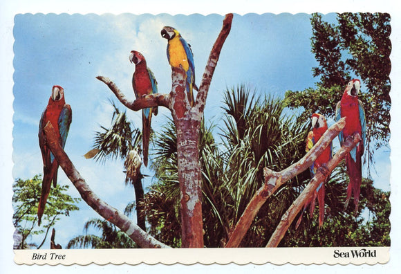 Bird Tree, Sea World, San Diego, CA