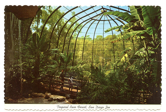 Tropical Rain Forest, San Diego Zoo, San Diego, CA