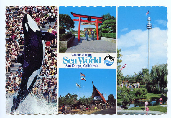 Greetings from Sea World, San Diego, CA