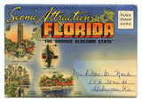 Scenic Attractions of Florida, The Orange Blossom State [Postcard]