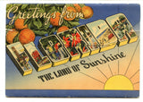 Scenic Attractions of Florida, The Orange Blossom State [Postcard]