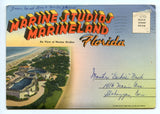 Marine Studios Marineland Florida [Postcard]
