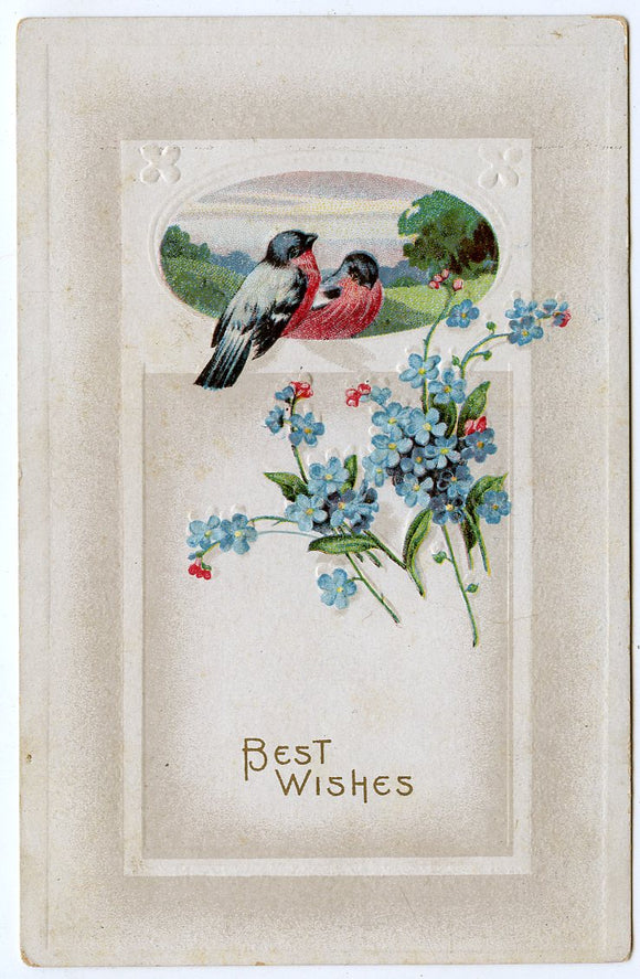 Best Wishes [Postcard]