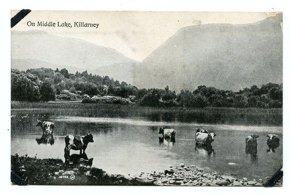 On Middle Lake, Killarney [Postcard]