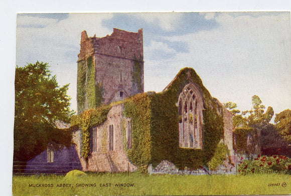 Muckross Abbey, Showing East Window [Postcard]