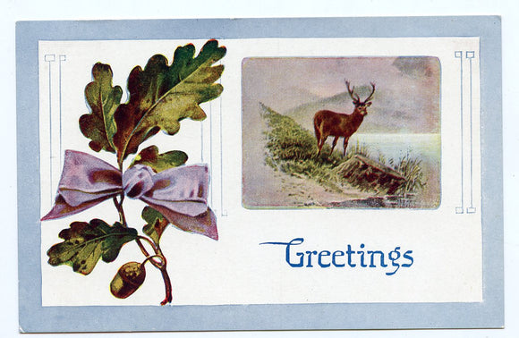 Greetings [Postcard]