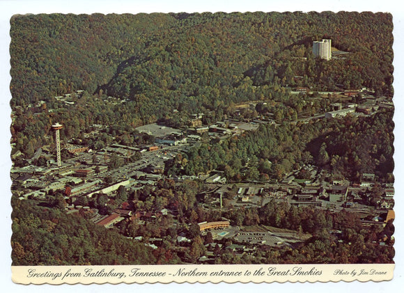 Greetings from Gatlinburg, TN [Postcard]
