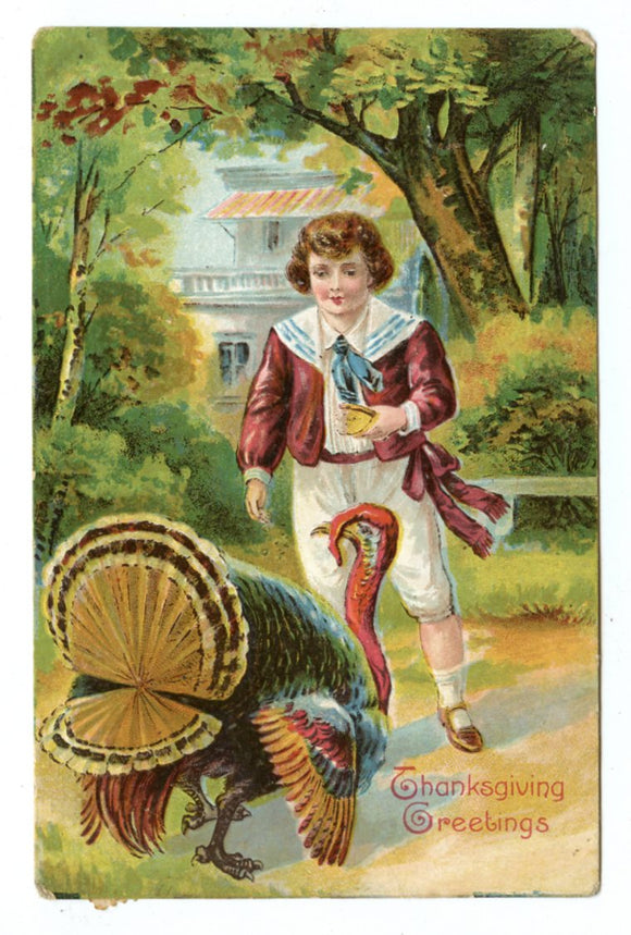 Thanksgiving Greetings [Postcard]