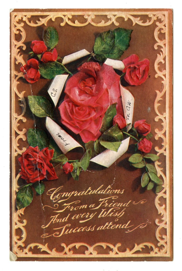 Congratulations [Postcard]