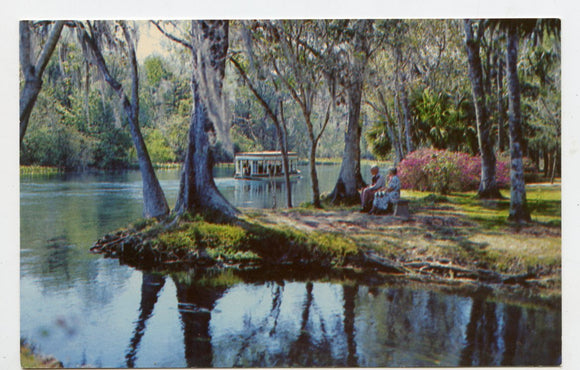A Beautiful Florida Scene, Silver River, Silver Springs, FL [Postcard]