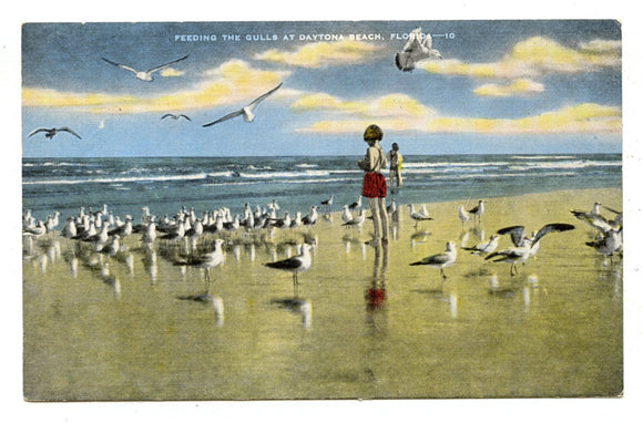 Feeding the Gulls at Daytona Beach, FL [Postcard]