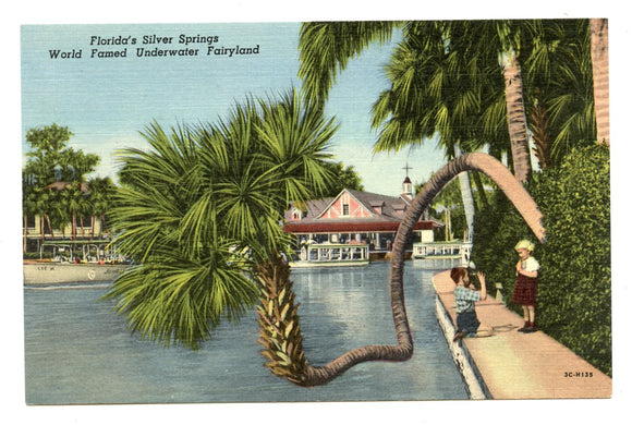 Florida's Silver Springs, World Famous Underwater Fairyland, Silver Springs, FL [Postcard]