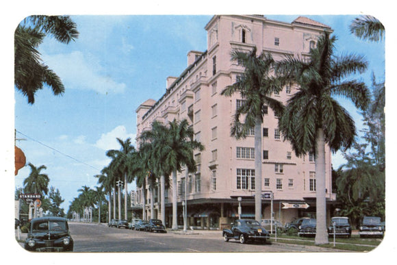 Tropical Street Scene, Bradenton, FL