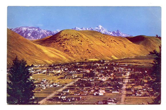 Jackson, WY [Postcard]