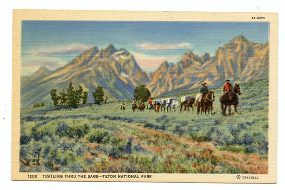 Traveling Through the Sage, Teton National Park [Postcard]