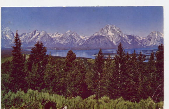 Teton Range from Signal Mountain, Jackson Hole, WY [Postcard]