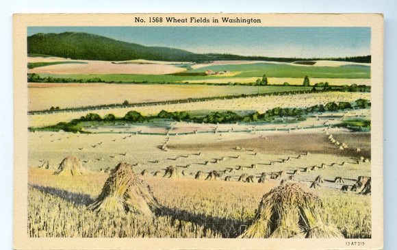 Wheat Fields, WA [Postcard]