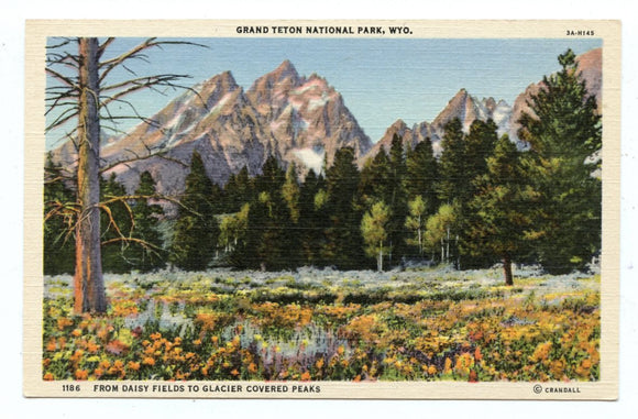 Grand Teton National Park, WY [Postcard]